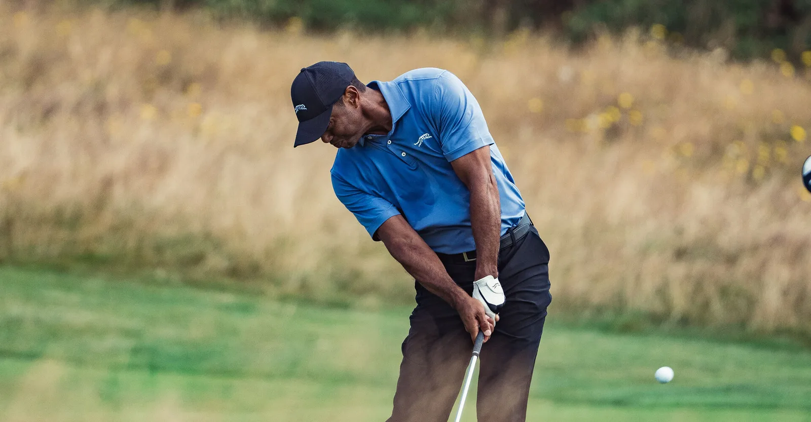 Tiger Woods in a blue Sun Day Red top hitting a chip shot beside tall rough.